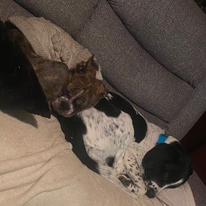 Meet your Posher, Alex